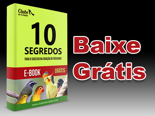 E-book - 10 Segredos para o sucesso na criação de pássaros
