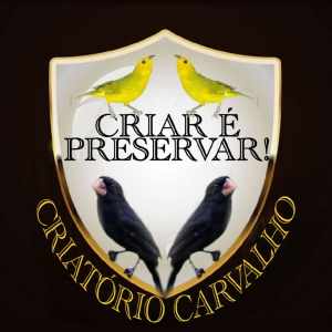 criatorio-carvalho
